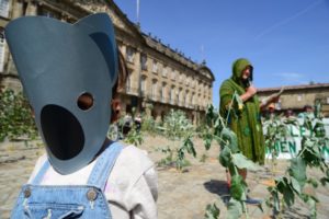 Koala-Obradoiro