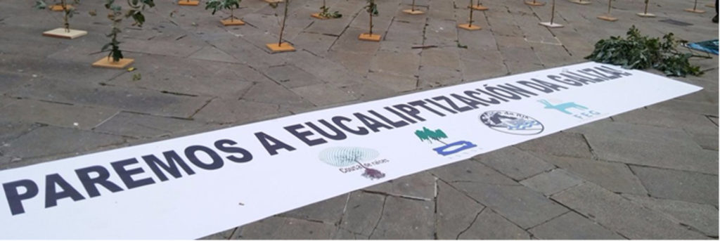 pancarta