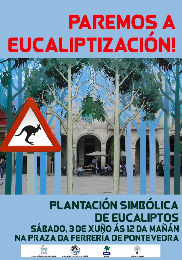 plantación