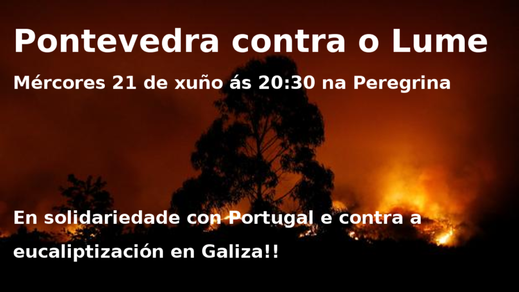 Pontevedra.contra.olume
