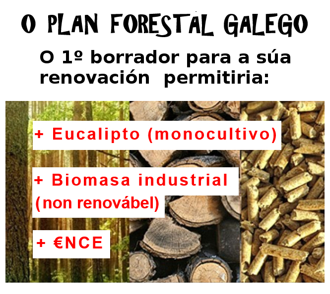Borrador.Plan.forestal