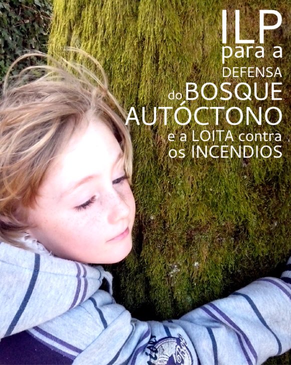 01.ILP.bosque.autóctono