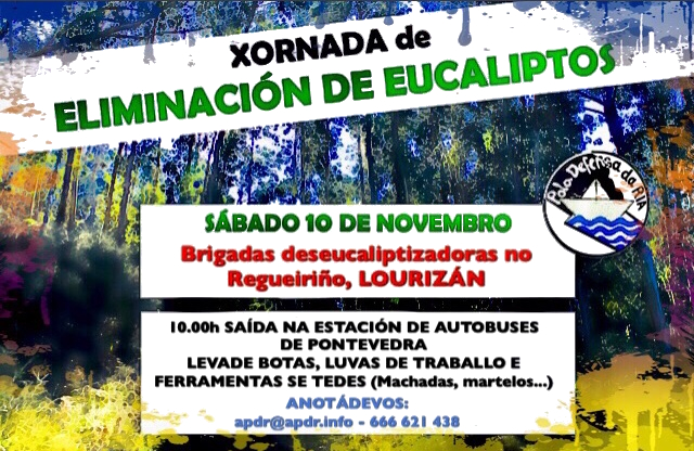 deseucaliptizacion